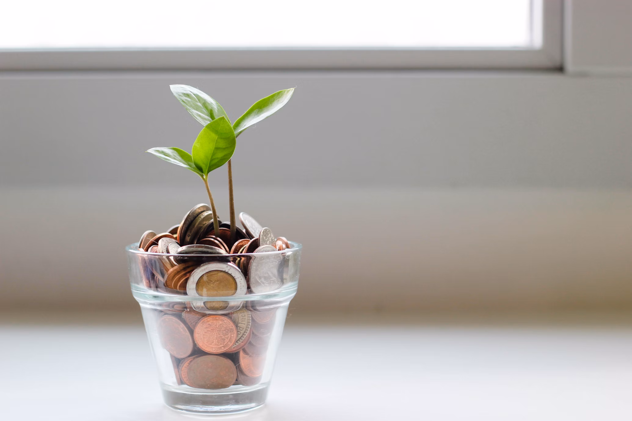 Raisin review: is het een goede keuze?