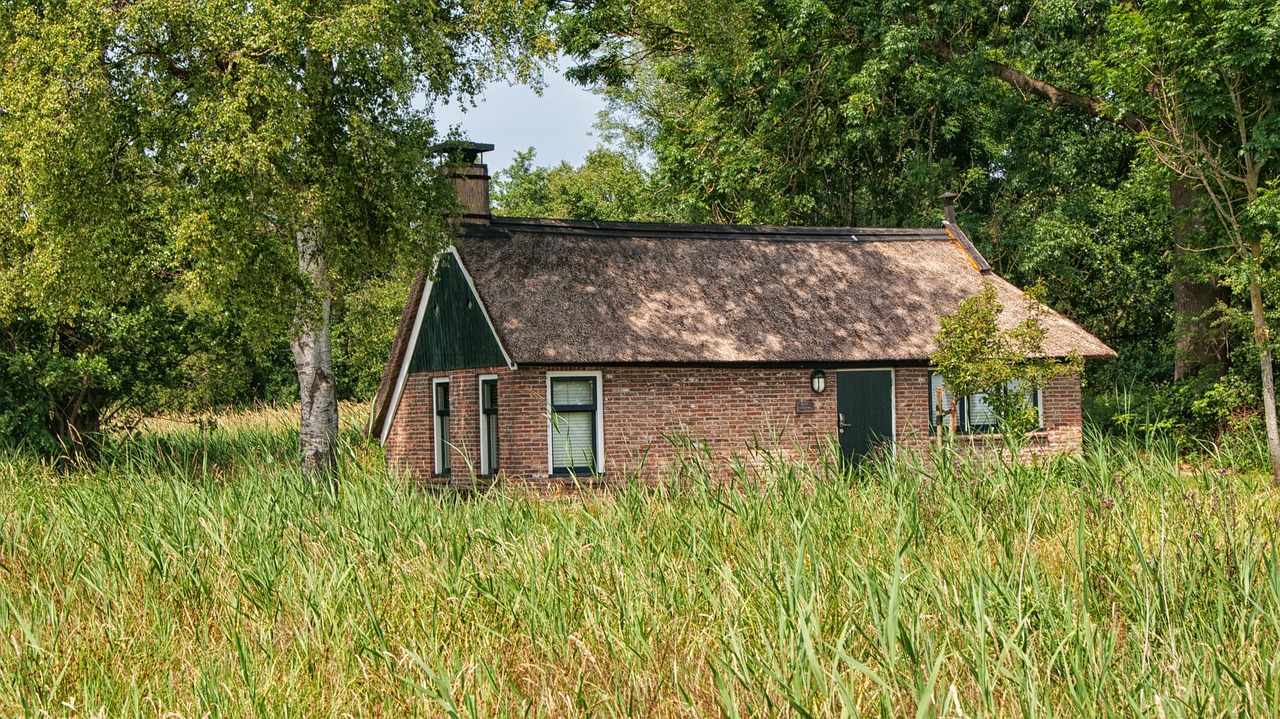Farm